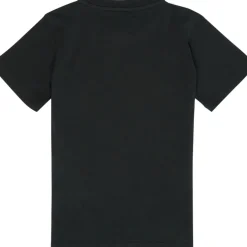 Emporio Armani - Ambroise