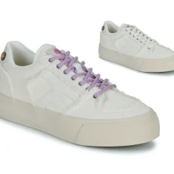 Faguo - WALNUT PLATFORM