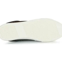 Feiyue - Fe Lo AV