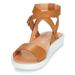 Felmini - GINA