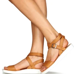 Felmini - GINA