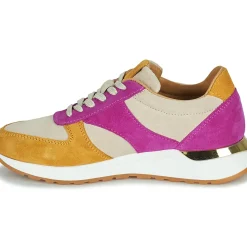 Fericelli - AGATE