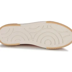 Fericelli - FEERIQUE