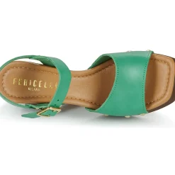 Fericelli - MAJYA