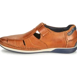 Fluchos - JAMES