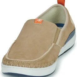 Fluchos - LESTER