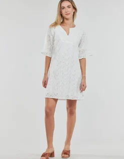 Freeman T.Porter - LOTISSE LACE