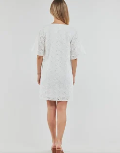 Freeman T.Porter - LOTISSE LACE