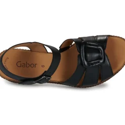 Gabor - 64772