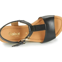 Gabor - 6282457