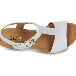 Gabor - 62024