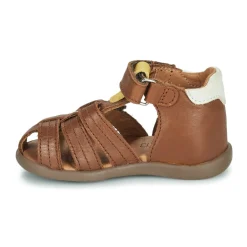 GBB - ALEXO