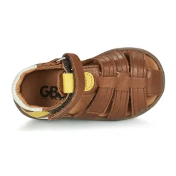 GBB - ALEXO