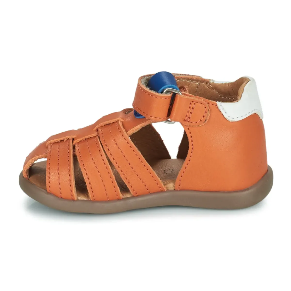 GBB - ALEXO