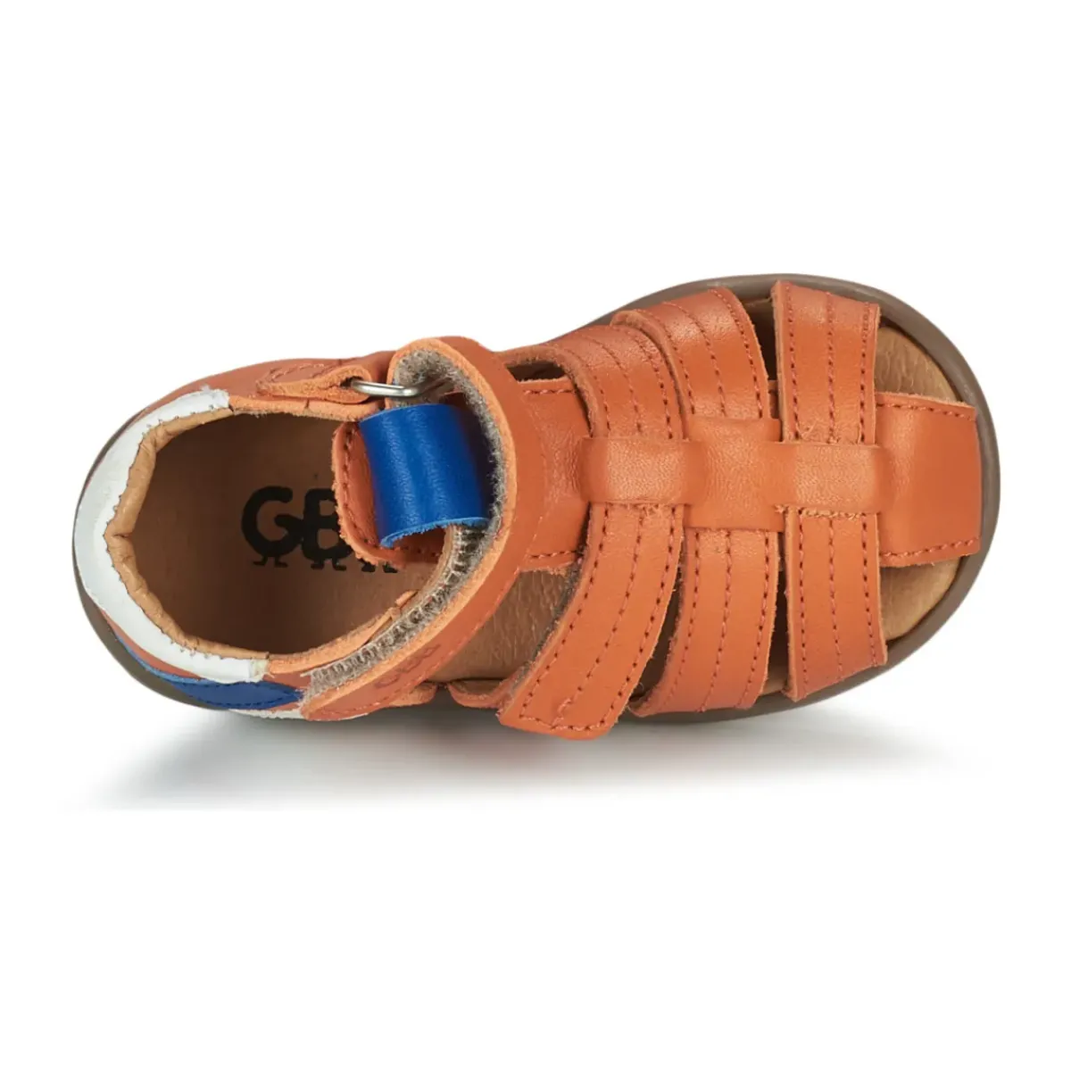 GBB - ALEXO