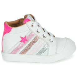 GBB - ALICIA