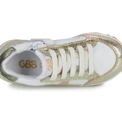 GBB - AMALIA