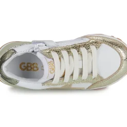 GBB - AMALIA