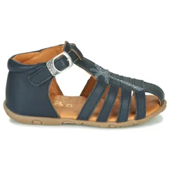 GBB - ANAYA