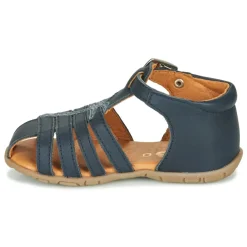 GBB - ANAYA