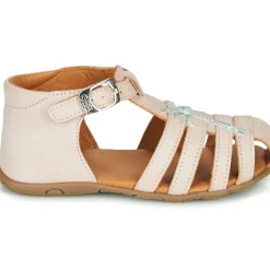 GBB - ANAYA
