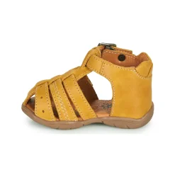 GBB - ARIGO