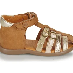 GBB - BABELLA