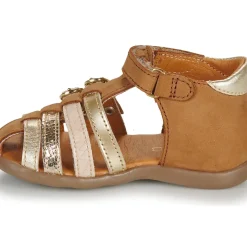 GBB - BABELLA