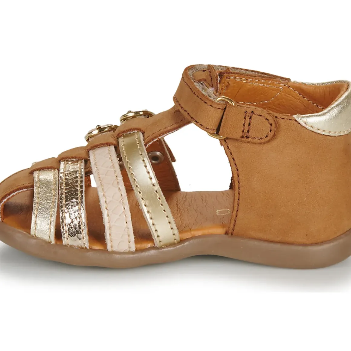 GBB - BABELLA