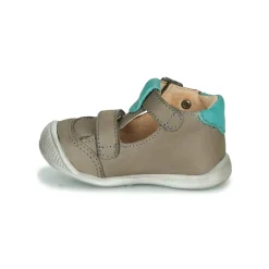 GBB - BOLINA