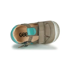 GBB - BOLINA