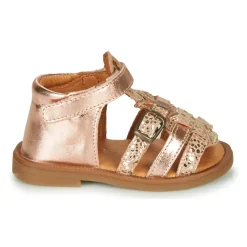GBB - CARETTE
