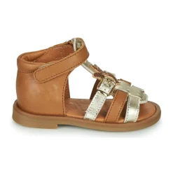 GBB - CARETTE