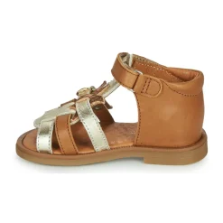 GBB - CARETTE