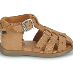 GBB - CARIGO