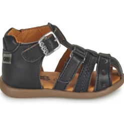 GBB - CARIGO