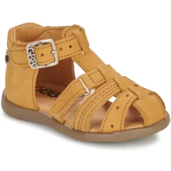 GBB - CARIGO