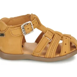 GBB - CARIGO