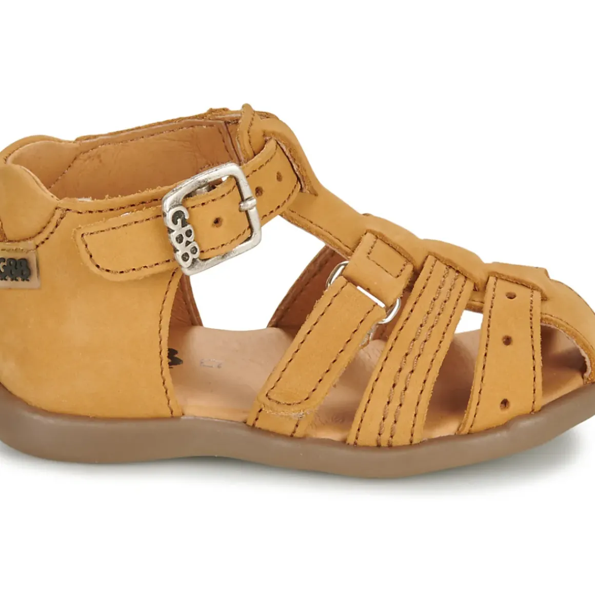GBB - CARIGO