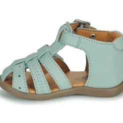GBB - CARIGO