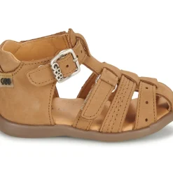 GBB - CARIGO