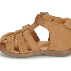 GBB - CARIGO