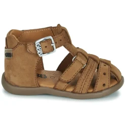 GBB - CARIGO
