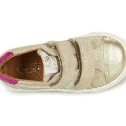 GBB - CARLOTA