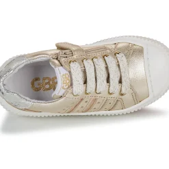 GBB - COLISA