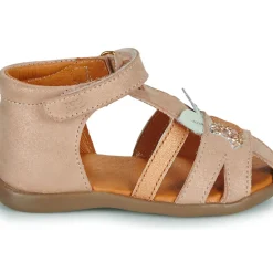GBB - DIMA