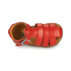 GBB - FARIGOU
