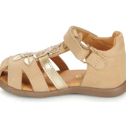 GBB - ISALINE