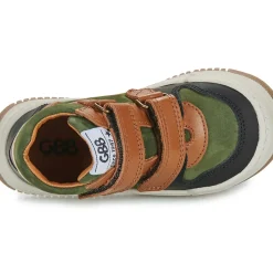 GBB - JOAO