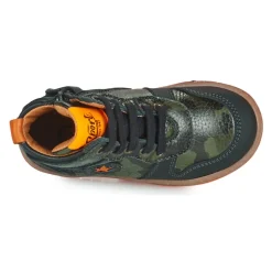 GBB - LANDER